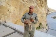 دستگیری ۲ نفر در پرونده شهادت محیط‌بان