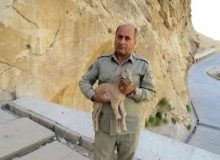 دستگیری ۲ نفر در پرونده شهادت محیط‌بان