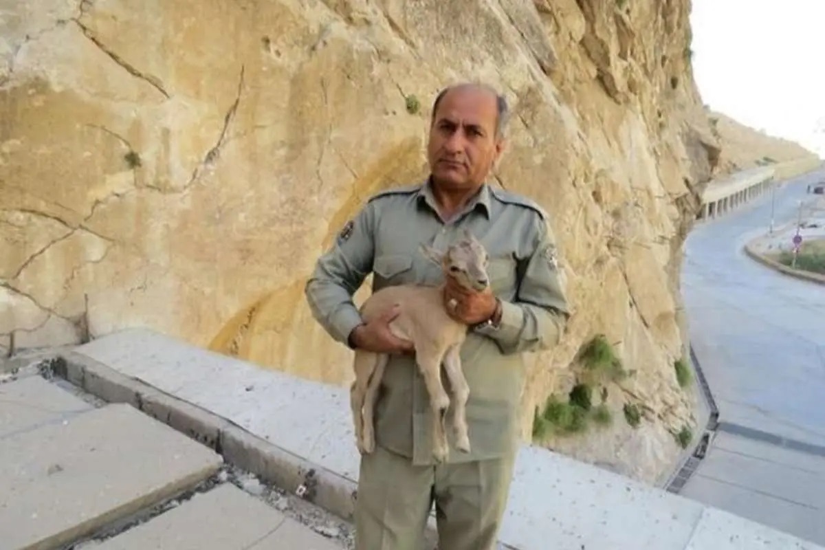 دستگیری ۲ نفر در پرونده شهادت محیطبان