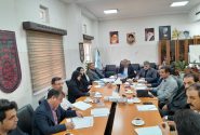 ضرورت برخورد با قاچاق خودرو‌های گذر موقت در خوزستان