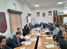 ضرورت برخورد با قاچاق خودرو‌های گذر موقت در خوزستان