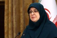سفر سخنگوی دولت به بوسنی و انتقال پیام پزشکیان