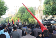 برگزاری راهپیمایی حرم تا حرم با حضور جاماندگان اربعین در دزفول