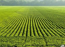 بررسی پرونده‌های اصلاحات ارضی در خوزستان