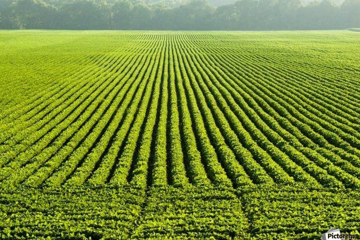 بررسی پرونده‌های اصلاحات ارضی در خوزستان