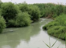 آغاز عملیات اجرایی ساحل‌سازی در حاشیه رودخانه شاوور شوش