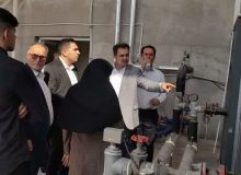 بهره برداری کارگاه صنعتی تولید قارچ خوراکی در رامهرمز