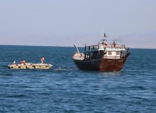 کشف بیش از ۴۸ هزار لیتر سوخت قاچاق توسط مرزبانان خوزستان