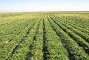 نظارت بر ۱۴ طرح دارای مجوز تغییرکاربری در خوزستان