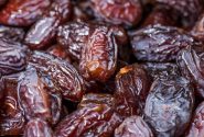 برداشت ۸۰ هزار تن خرما در شادگان تا کنون