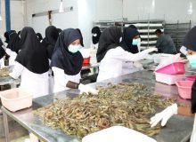 ایجاد ۴ هنرستان وابسته به شیلات در خوزستان در دستور کار