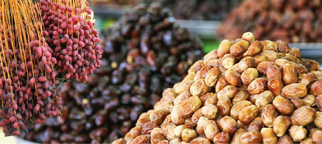 پیش بینی تولید یک میلیون و ۳۰۰ هزارتن خرما در کشور