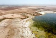 خشک شدن ۲۰۰ هزار هکتار از تالاب شادگان؛ زنگ خطر برای محیط زیست خوزستان
