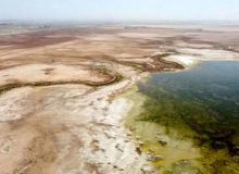 خشک شدن ۲۰۰ هزار هکتار از تالاب شادگان؛ زنگ خطر برای محیط زیست خوزستان