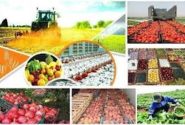 صادرات، کلید توسعه اقتصاد و کشاورزی کشور