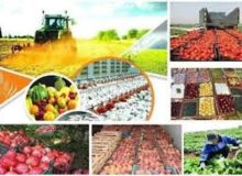 صادرات، کلید توسعه اقتصاد و کشاورزی کشور
